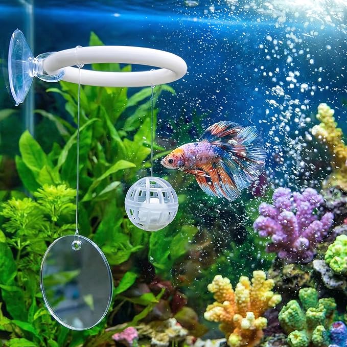Betta Fish Tank Accessories Beta Enrichment Toys 2 Fish Exercise Training Rings with Suction Cups 2 Nitrifying Balls and 1 Floating Mirror with Ball for Aquarium Tank