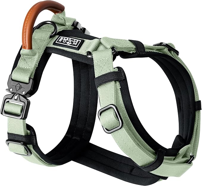 MADE TO ROAM Premium Explorer Harness - Y-Shaped Dog Harness with Adjustable Durable Nylon, Soft Padding, Metal Buckles and Leather Handle for Small, Medium, Large Dogs (Washington Rain, Size 7)