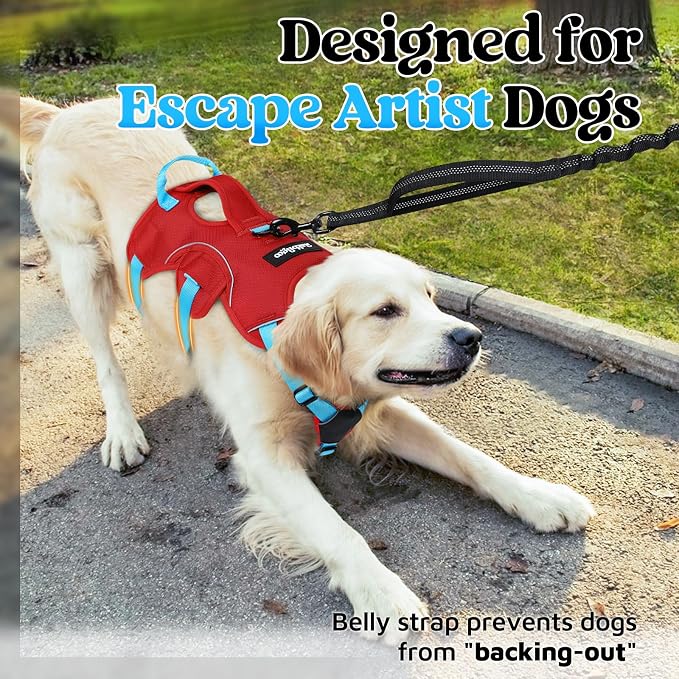 rabbitgoo Escape Proof Dog Harness for X-Large, No Pull with Lift Handle | No Escape, Full Soft Padded, Reflective Adjustable Vest, Leash Clip for Walking Hiking Training, Sky Blue & Red, X-Large