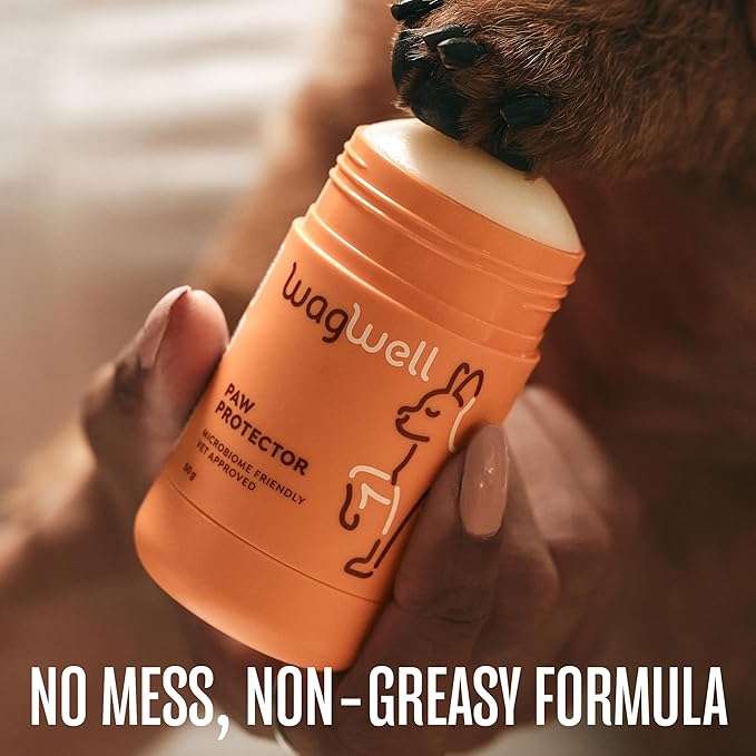 WagWell Paw Protector Dog Paw Balm | Lick-Safe, Vet-Approved Paw & Nose Balm | Microbiome-Friendly, Dermatologist Tested | Hot Pavement & Cold Weather Protection | To Hydrate, Condition & Protect Paws