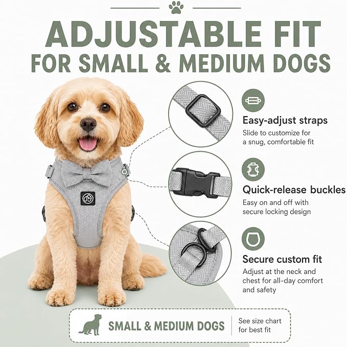 EVERKING 5-Piece Dog Travel Set, Adjustable Harness, Leash, Collar, Poop Bags, Bowtie for Small Medium Dogs, Beige, Breathable No-Pull Design (Slate Gray, L)