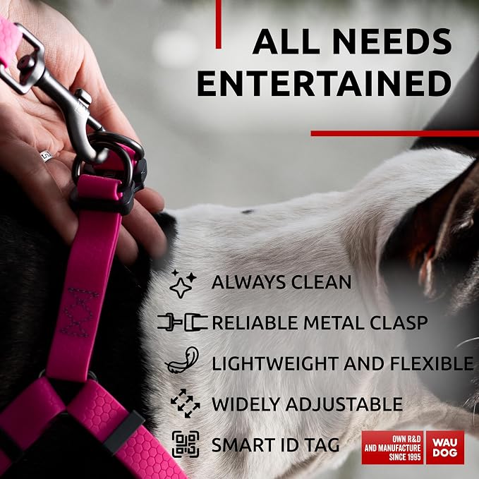 WAUDOG Waterproof Dog Harness and 6 Ft Leash Set - Adjustable, Heavy Duty with Durable Metal Clasp and QR Dog Tag