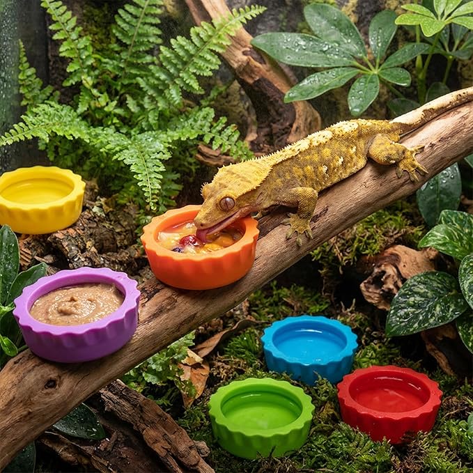 12 Pack Crested Gecko Food Dish Small Silicone Reptile Feeding Cups Water Bowl, Easy Clean Crested Gecko Tank Accessories for Hermit Crab, Tarantula, Isopods, Snails and Lizard(6 Colors)