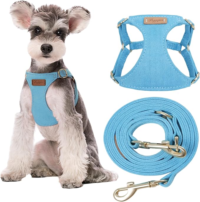 Puppytie Small Dog Harness with Multifunction Dog Leash,Lightweight Soft Adjustable No Choke Escape Proof Pet Harness Vest Pet Harness Vest,Ocean Blue,S
