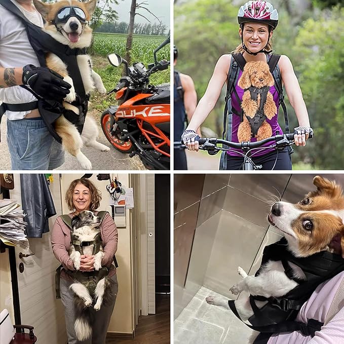 PetBonus Dog Front Carrier Backpacks, Legs Out Easy-fit Puppy Chest Carrier | Hands Free, Adjustable, Safety Strap, Walking Hiking Cycling Motorcycle bag, For Small Medium Dogs (Black, S)
