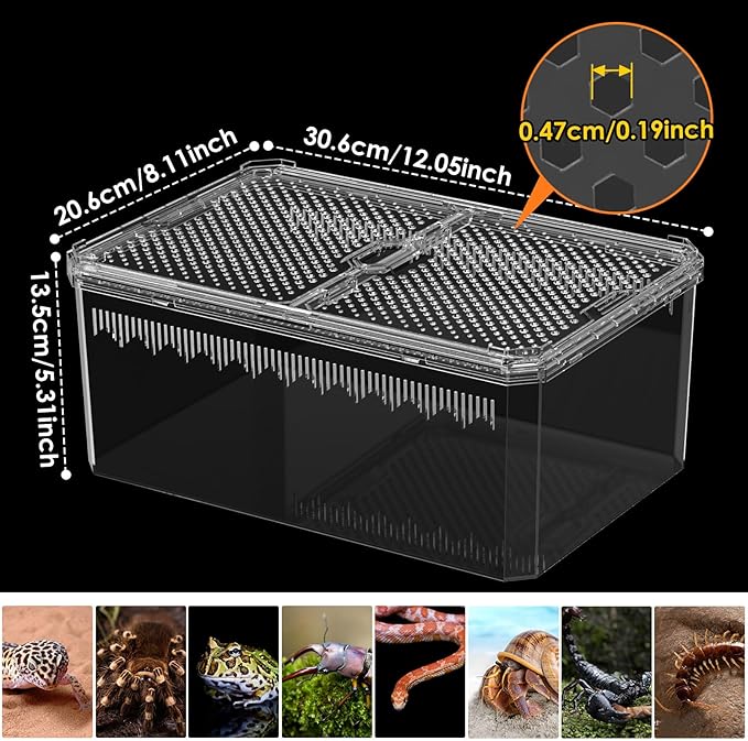 【No Assembly】 Breathable and Secure Reptile Tank with high Transparency - Ideal Container House for Hermit Crab, Tarantula Enclosure, Turtle Tank or Jumping Spider Habitat (L)