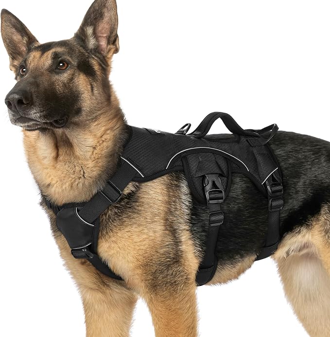 rabbitgoo Escape Proof Dog Harness for X-Large, No Pull with Lift Handle | No Escape, Full Soft Padded, Reflective Adjustable Vest, Leash Clip for Walking Hiking Training, Black, X-Large