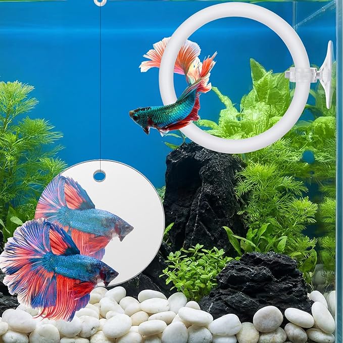 Xthrotsenk 2 Pcs Betta Enrichment Toys Betta Fish Toys Beta Exercise Ring Floating Mirror Set Fish Feeding Ring Bettas Tank Accessories for Aquarium Beta Tank
