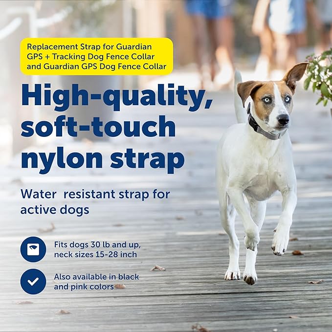 PetSafe Replacement Strap for Guardian GPS + Tracking Dog Fence Collar & Guardian GPS Dog Fence Collar - Soft Touch Material - Waterproof Material - Adjustable - Durable Design - Grey