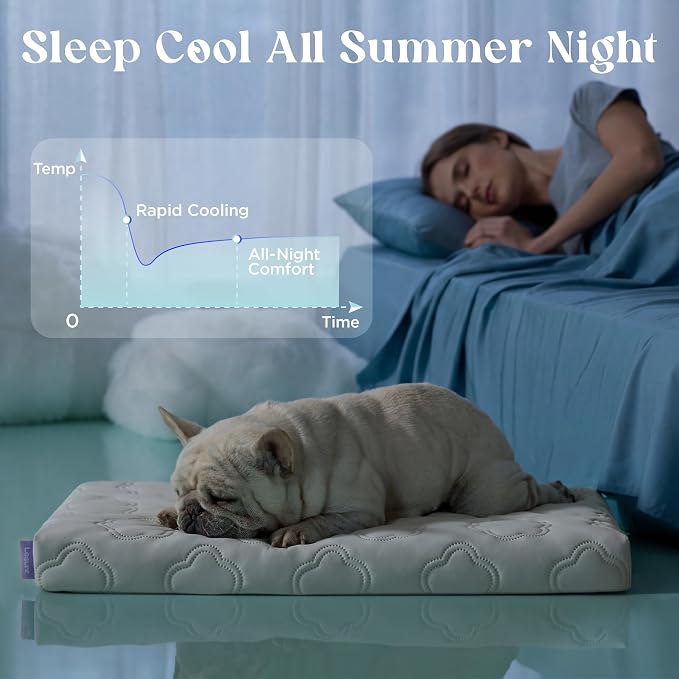 LE SURE ApexCloud™ Small Cooling Dog Bed with Washable Cover, 23x17 Inch | Q-Max>0.5 Cool-Touch Fabric, Orthopedic Egg Crate Foam,Breathable Non-Slip Summer Mat,For Active Senior Long-Haired Pets,Grey