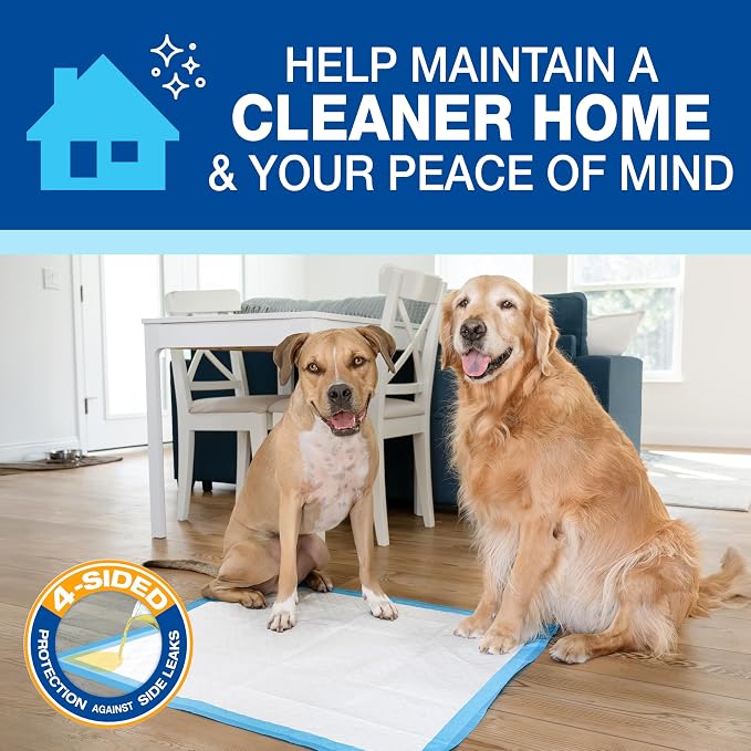 Four Paws Wee-Wee Superior Performance X-Large Dog Pee Pads, 21 Count | Puppy & dog potty training pads, housebreaking supplies, xl puppy pads, pet supplies, 24-hour floor protection, 28" x 34"