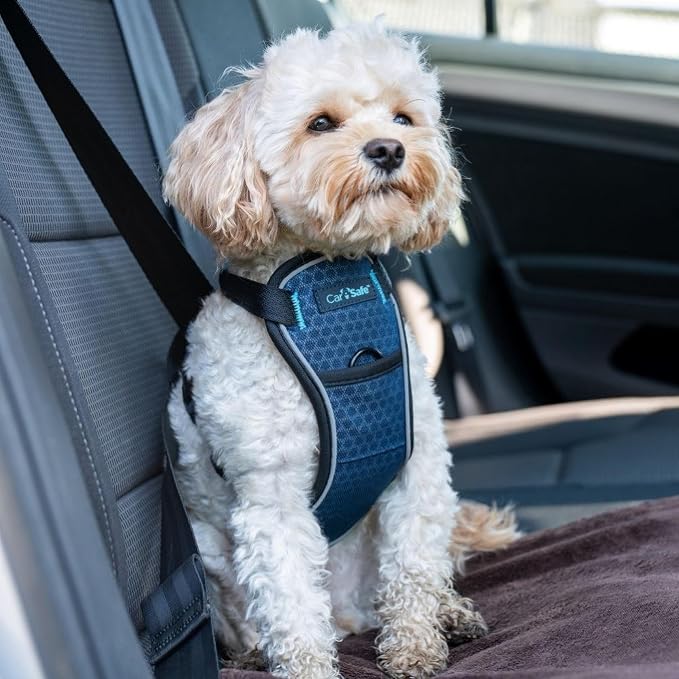 Carsafe Crash Tested Dog Harness Blue X Small | Crash Tested to 32Kg/70lbs, Safely Secure Dog in the Car, Comfortable and Padded Design, for Toy, Small, Medium & Large Dogs