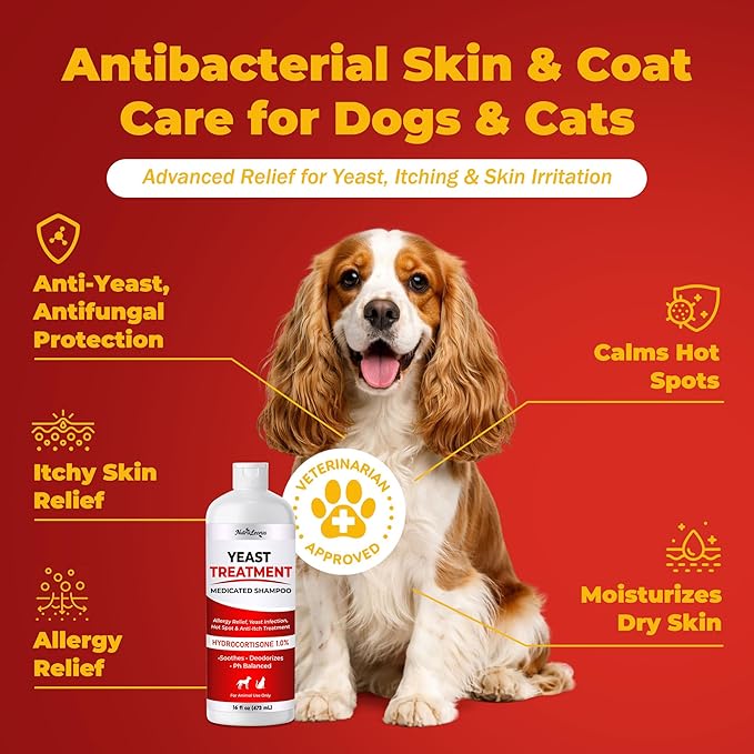 Yeast Infection Treatment for Dogs Shampoo - Allergy Relief, Yeast Infection, Hot Spot & Dry Skin Anti-Itch Treatment Wash - Vet Formula - Healthy Skin & Coat - 473ml / 16 fl oz