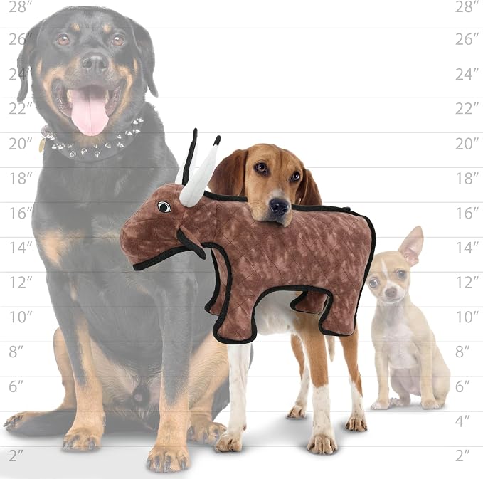 TUFFY® : 2 Pack Medium Bull Dog Toy: Ultra Durable Plush Toy with Multiple Layers & Reinforced Seams, Washable and Floats, Original Construction