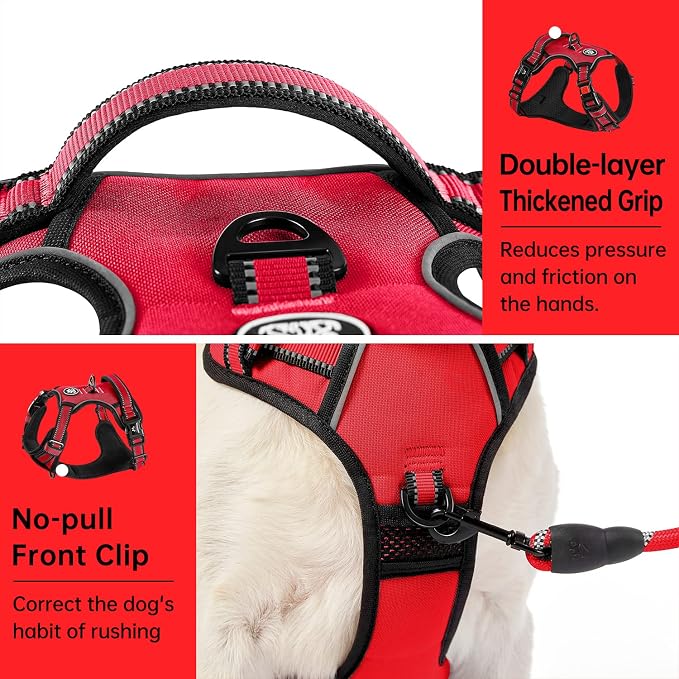 IVY&LANE No Pull Dog Harness for Medium Dogs, Dog Vest Harness with Leash, Safety Belt and Storage Strap, Fully Adjustable, 360° Reflective Strip, Soft Handle (Red, M)