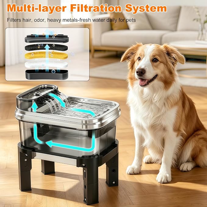 RPZ 9L Elevated Stainless Steel Dog Water Fountain with Filter | 4-level adjustable indoor pet water fountain with quiet pump and no-spill design for small, medium, and large dogs