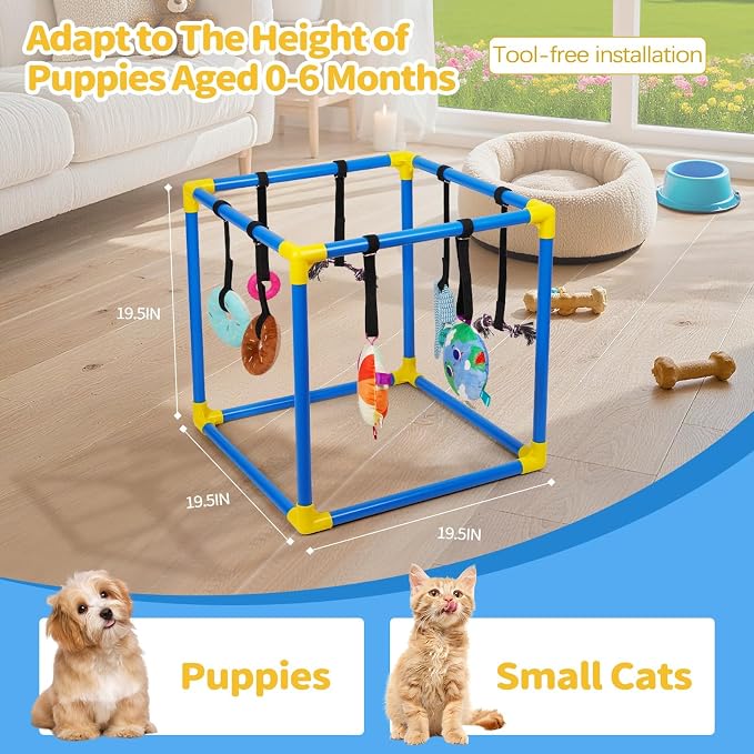 Liitrton Puppy Play Gym for Small Dogs with 8 Hanging Toys, Blue | 19.5"x19.5"x19.5" PVC Frame, Indoor Puppy Jungle Gym with Interactive Puppies Toys