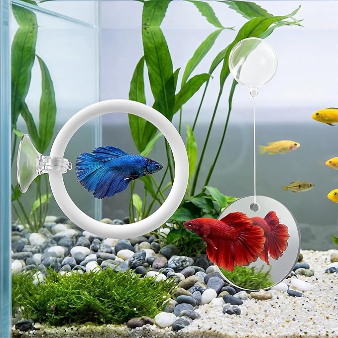 Betta Fish Tank Accessories, 2 Pcs Betta Exercise Ring and Bettas Mirror with Floating Ball, Plastic Bettas Fish Toys for Enrichment Aquarium, Fish Training & Play