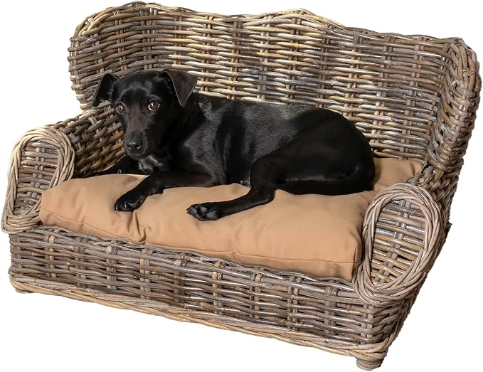 DBD1004A Classic 27.5" x 18" Mediterranean Handwoven Rattan Dog Daybed with Machine-Washable Cushion, Kubu Gray