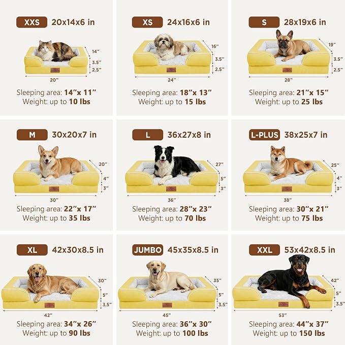 Comfort Expression Waterproof Orthopedic Dog Beds for Large Sized Dog | Supportive Egg Crate Foam Large Pet Bed with Removable Bolster, Dog Couch with Washable Cover & Non-Slip Bottom, 36x27 Inch