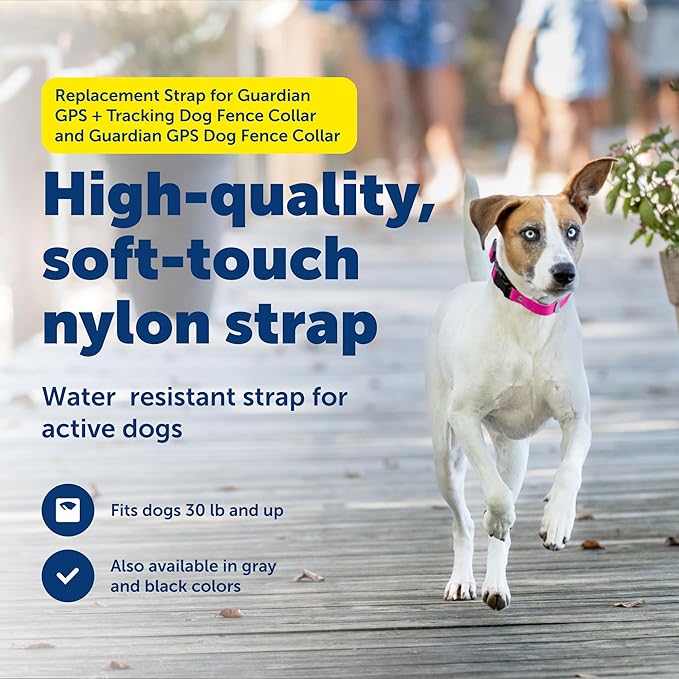 PetSafe Replacement Strap for Guardian GPS + Tracking Dog Fence Collar & Guardian GPS Dog Fence Collar - Soft Touch Material - Waterproof Material - Adjustable - Durable Design - Pink