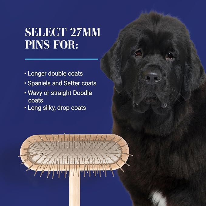 Chris Christensen Original Series 27 mm T-Brush - Dog & Cat Grooming Brush, Groom Like a Professional, Stainless Steel Pins, Lightweight Beech Wood Body, Ground and Polished Tips