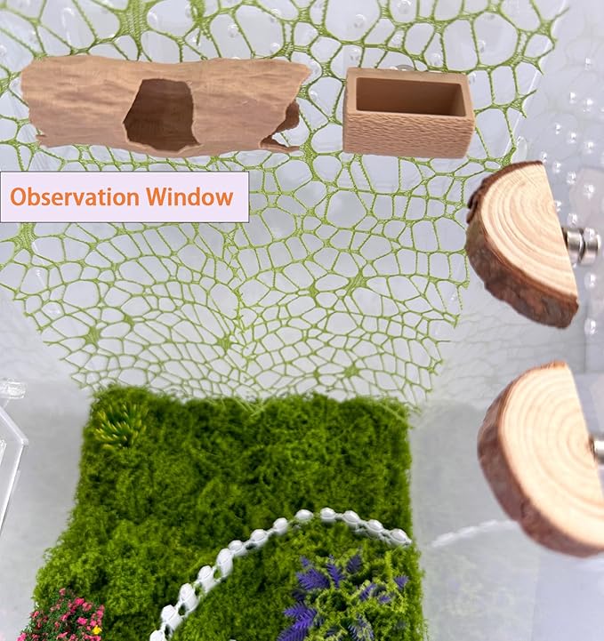 6Pcs Jumping Spider Accessories Set,Tree Jumping Spider Climbing Toy with Cave, Jumping Spider Feeder,2 Wooden Platforms and 2 Green Moss Ribbons,Small Reptile Enclosure Decoration Accessories