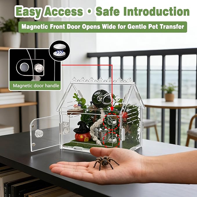 16Pcs Jumping Spider Enclosure Kit, 5.9"x3.9"x5.1" Arboreal Tarantula Habitat with Magnetic Lock & Decor, Acrylic Terrarium Complete Starter Kit for Small Spider, Praying Mantis, Reptile, Insect Cage