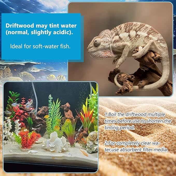 3 PCS Large Natural Aquarium Driftwood 10-12", Aquarium Drift Wood for Fish Tank Decoration, Assorted Size Mopani Wood Twisted Branches Trunk Decor for Freshwater, Reptile Terrarium