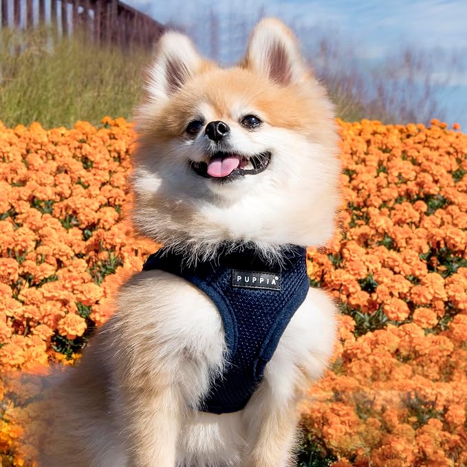 PUPPIA International PUAH305NYXS Soft Harness B Vest, X-Small, Navy