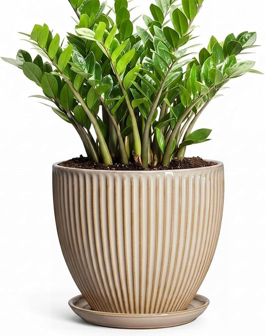Ceramic Planter, 10 Inch Plant Pot for Large Indoor Plants, Decorative Planters with Drainage Hole and Saucer, Round Flower Pot, Modern Planter, Home Garden Decor, Beige
