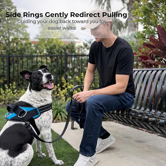 ShawnCo Essential Dog Harness, No-Pull Pet Vest (Stars and Stripes,M) | 3 Leash Clips, Easy On, No-Choke, Reflective, Adjustable Fit, Padded Comfort, Control Handle, For Small, Medium & Large Dogs