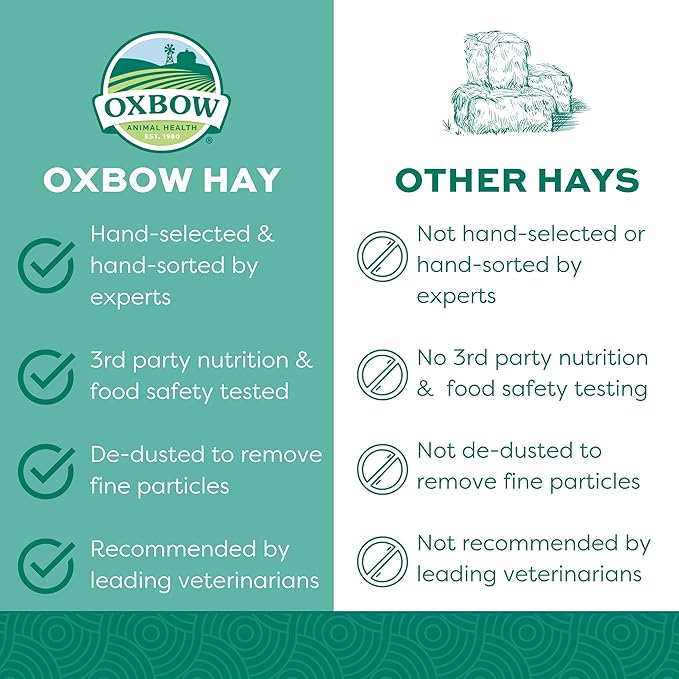 Oxbow Western Timothy Hay for Small Pets – All-Natural Grass Hay for Rabbits, Guinea Pigs, and Chinchillas – High Fiber for Digestive Health and Dental Support – 40 oz Bag