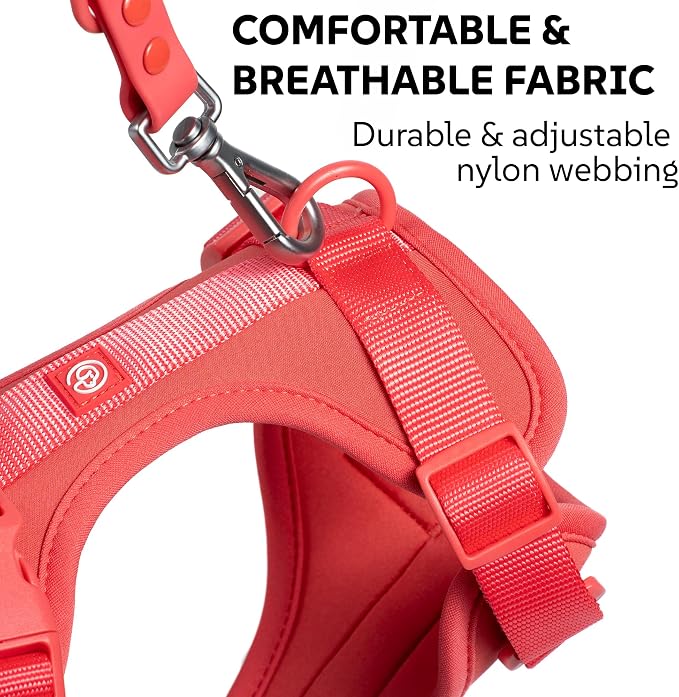 Dog Harness, Collar & Leash Set, Adjustable No Pull Harness with 3 Leash Clips, Waterproof Matching Collar & Leash, Breathable Comfort (Red Watermelon, Medium)
