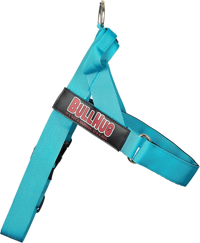 Adjustable Dog Harness– No Pull, No Choke – for English Bulldogs, French Bulldogs, Pugs & Broad-Chested Breeds – Easy, Safe Walks (Teal, Small)