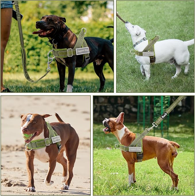 SlowTon No Pull Dog Harness with Front Clip - Heavy Duty, Soft Padded | Neck & Chest Adjustable, Tactical Pet Vest and Leash Set for Large Medium Sized Dogs, for Easy Walk & Training, Green M