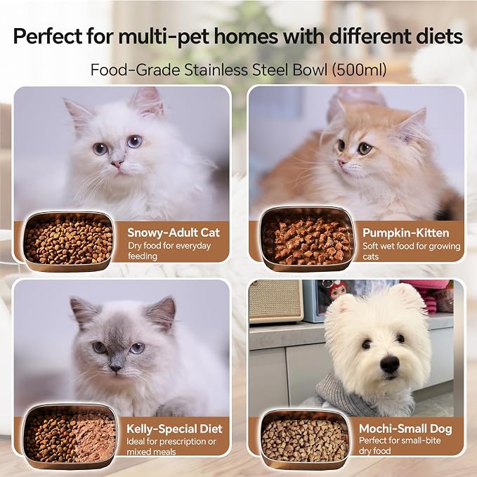 Automatic Microchip Cat Feeder for Multi-Pets Home Meal Stress-Free | RFID Pet Feeder Stops Food Stealing, Rechargeable, Stainless Steel Cat Bowls & Dog Bowls for Wet & Dry Food with RFID Tag