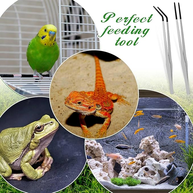 Lasnten 2 Pcs Extra Long Stainless Steel Reptile Feeding Tongs with Rubber Tip 15 Inch Bearded Dragon Aquarium Straight and Curved Long Tweezer Terrarium Feeder Tool for Tank(Silver)