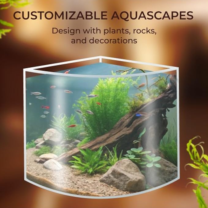 Skywin Betta Fish Tank - 1.71 Gallon, Acrylic Beta Fish Aquariums, Corner Fish Tank, Small Fish Tank for Real Life Fish, Clear Seamless Desktop Corner Aquarium for Small Fish, Shrimp & Plants Only