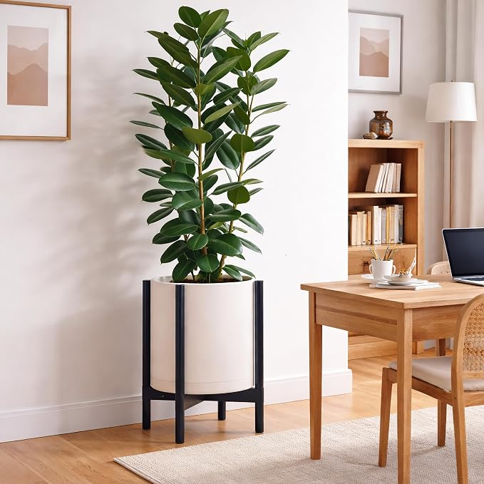 D'vine Dev Plastic Pot with Ebony Wood Stand, Oatmeal, 14 in, 55-C-T-4 | Mid-Century Inspired Design, Elevated Plant Display, Clean Lines, Sturdy Support, Modern Space-Saving Style