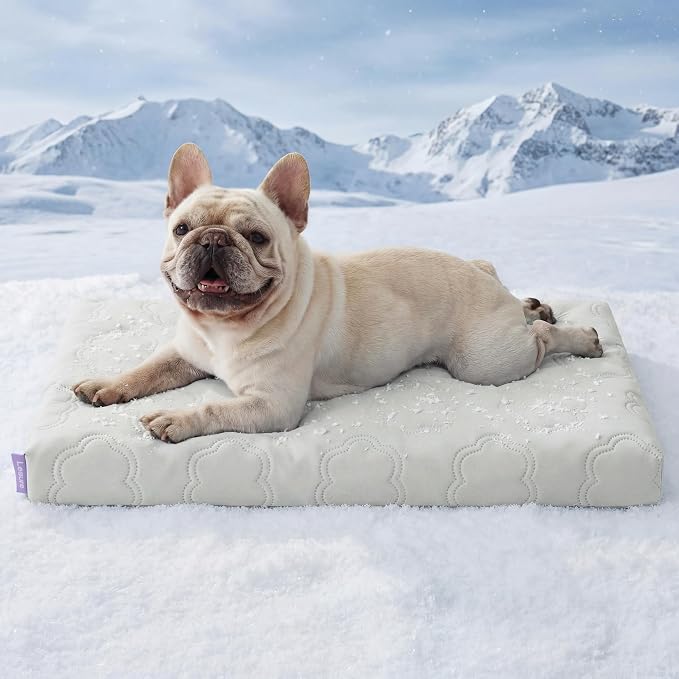 LESURE ApexCloud™ Cooling Dog Bed with Washable Cover for Medium Dogs, 29IN | Q-Max>0.5 Cool-Touch Fabric, Orthopedic Egg Crate Foam,Breathable Non-Slip Summer Mat,For Active Senior Long-Haired Pets,Grey
