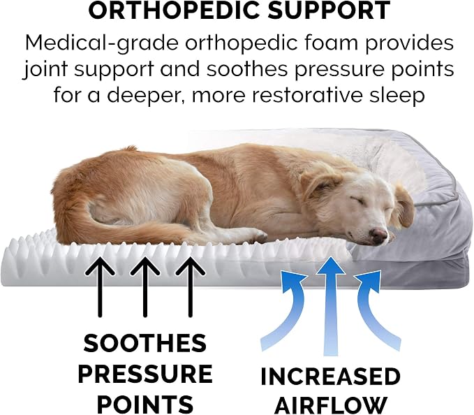 Furhaven Orthopedic Dog Bed for Medium/Small Dogs w/ Removable Bolsters & Washable Cover, For Dogs Up to 35 lbs - Plush & Velvet Waves Perfect Comfort Sofa - Granite Gray, Medium
