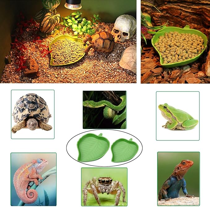 3PCS Tortoise Water Bowl with Ramp Leaf Tortoise Water Food Dish Turtle Pool Tortoise Bathing Pool Reptile Water Dish Large Soaking Dish Box Turtle Habitat Accessories (with Drainage Pipe)
