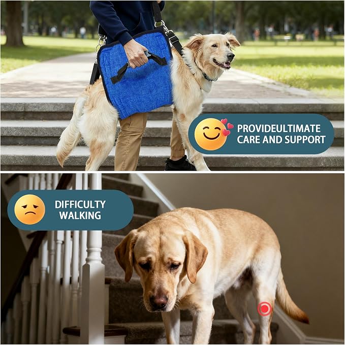 Adjustable Dog Lift Harness, Dog Carry Sling Provides Rear Leg Support for Senior Dogs, Arthritis and After ACL Surgery Dogs,Suitable for Medium to Large Dogs,Blue XL