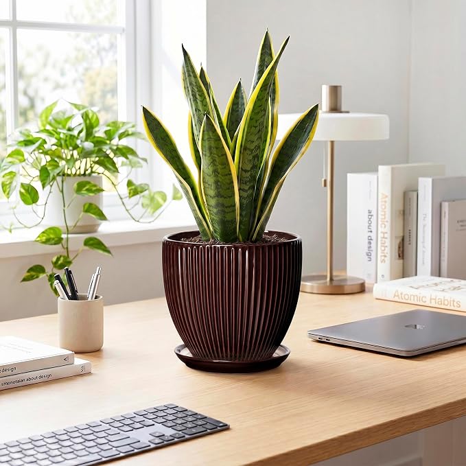 8 Inch Flower Pot, Ceramic Planters with Drainage Hole and Plant Saucer, Round Planters for Indoor Plants, Modern Plant Pot, Decorative Planter, Home Entryway Decor, Women Men Gifts, Brown
