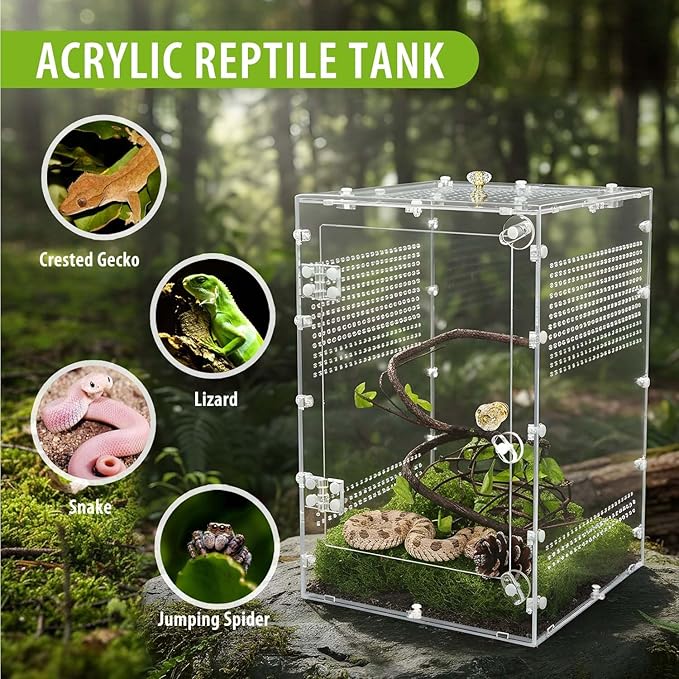 Reptile Enclosure 10 Gallon for Crested Gecko, Lizard, Bearded Dragon, Snakes，Frogs, Large Spiders, Acrylic Reptile Tank Feeding Terrarium with Front & Top Opening Doors and Vent Holes - 12"*12"*18"