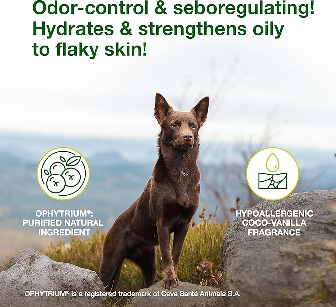 Douxo S3 Seb Shampoo, Contains 0.5% Ophytrium, Odor Control & Seboregulating, For Oily to Flaky Skin, Seborrhea, For Dogs and Cats, 16.9 fl. oz. (500mL)
