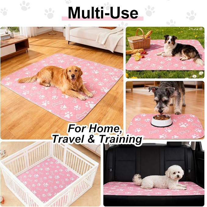 BEAUTYZOO 6 Pack Washable Pee Pads for Dogs,Reusable Puppy Pads 16x24 Pink | Waterproof Super Absorbent,Non Slip and Leak-Proof Against Urine,Whelping Pads Mats for Puppy Potty Training,Playpen,Crate