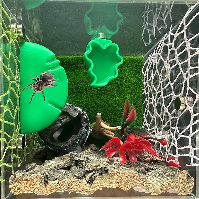 2 PCS Jumping Spider Feeding Dish, Leaf Shape Tiny Food Dishes Water Bowl with 1PC Tweezer and 1PC Dropper for Jumping Spider, Tarantula and Other Small Pets