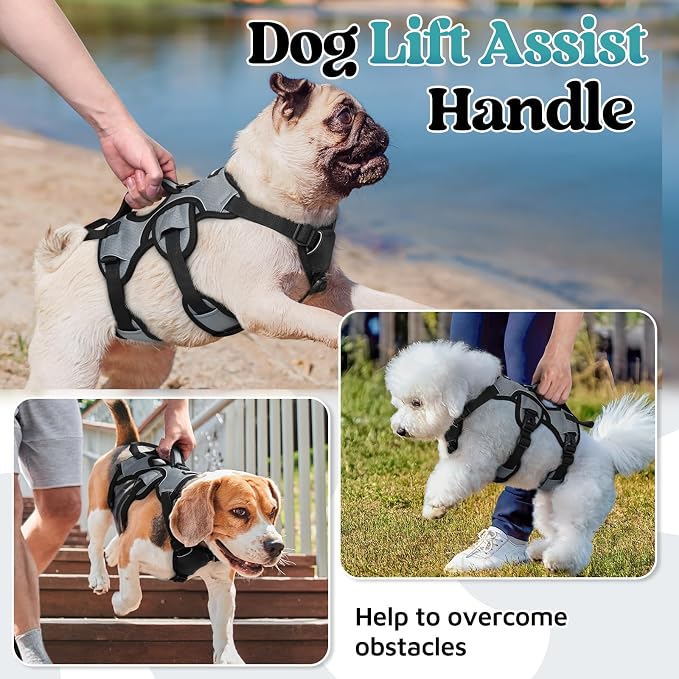 rabbitgoo Escape Proof Dog Harness for Small, No Pull with Lift Handle | No Escape, Full Soft Padded, Reflective Adjustable Vest, Leash Clip for Walking Hiking Training, Grey, Small
